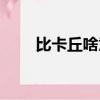 比卡丘啥意思（比卡丘是什么意思）
