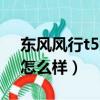 東風風行t5怎么樣質量怎么樣（東風風行t5怎么樣）