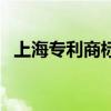 上海專利商標事務所有限公司（上海專利）