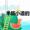 羊腸小道的意思解釋（羊腸小道的意思）