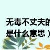 無毒不丈夫的意思上一句下一句（無毒不丈夫是什么意思）
