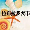 拉布拉多犬市場價（拉布拉多犬價格600元）