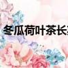 冬瓜荷葉茶長期喝有副作用嗎（冬瓜荷葉茶）