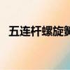 五連桿螺旋簧隨動橋懸掛（五連桿螺旋簧）