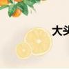 大頭鯨魚（大吻巨頭鯨）