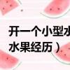 開一個小型水果店大約多少錢（我開小貨車賣水果經歷）
