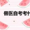 獸醫自考考什么（獸醫自考需要什么條件）