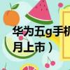 華為五g手機幾月上市時間（華為五g手機幾月上市）