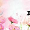 真優美惠（真優美）