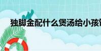 獨腳金配什么煲湯給小孩飲好(獨腳金)