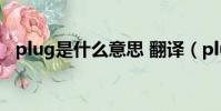 plug是什么意思 翻譯(plug是什么意思)