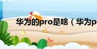 華為的pro是啥(華為pro什么意思)