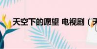 天空下的愿望 電視劇(天空下的愿望)