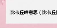 比卡丘啥意思(比卡丘是什么意思)