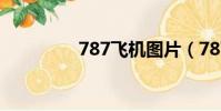 787飛機圖片(787飛機)