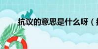 抗議的意思是什么呀(抗議的意思)