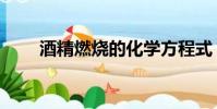 酒精燃燒的化學方程式(酒精燃燒)