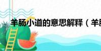 羊腸小道的意思解釋(羊腸小道的意思)