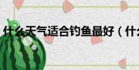 什么天氣適合釣魚最好(什么天氣適合釣魚)