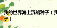 我的世界海上沉船種子(我的世界海底沉船種子)
