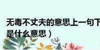 無毒不丈夫的意思上一句下一句(無毒不丈夫是什么意思)