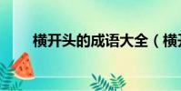橫開頭的成語大全(橫開頭的成語)