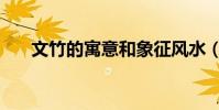 文竹的寓意和象征風水(文竹的寓意)