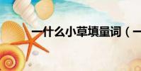 一什么小草填量詞(一什么小草)