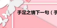 手足之情下一句(手足之情)