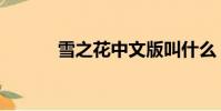 雪之花中文版叫什么(雪之花)