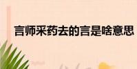 言師采藥去的言是啥意思(言師采藥去)