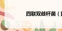 四聯雙歧桿菌(四聯)
