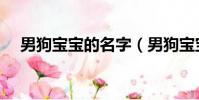 男狗寶寶的名字(男狗寶寶取名字大全)