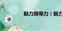 魅力領導力(魅力領導)