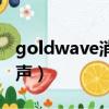 goldwave消除人聲教程（goldwave消除人聲）
