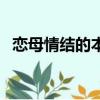 戀母情結的本質是什么（什么是戀母情結）