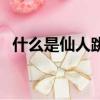 什么是仙人跳是什么意思（什么是仙人跳）