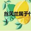 絲芙蘭屬于什么檔次（絲芙蘭的東西是正品嗎）