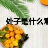 處子是什么意思啊網絡用語（處子是什么）
