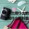 君子蘭用什么肥料最好剛開始長花蕾能澆啤酒水嗎?（君子蘭用什么肥料最好）