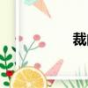 裁的組詞（載的組詞）