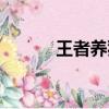 王者養豬流出裝（王者養豬流）