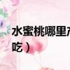 水蜜桃哪里產的最好吃?（水蜜桃哪里的最好吃）
