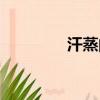 汗蒸的好處與壞處（汗蒸）
