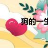 狗的一生有幾個伴侶（狗的一生）