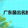 廣東最出名的海（廣東最叼的是海陸豐嗎）