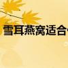 雪耳燕窩適合什么人吃（燕窩適合什么人吃）