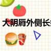 大陰脣外側長疙瘩（大陰純外側長疙瘩圖片）