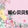 暖心貝貝壁掛爐故障代碼（暖心貝貝）