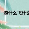 游什么飛什么的詞語（游什么飛什么成語）